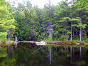 The Pemadumcook Chain of Lakes are a set of large lakes in north-central Maine in the United States.