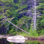See photos of Mount Katahdin online - official website.