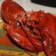Need the perfect gift? Send a Lobster Gram--featured in "Every Day with Rachael Ray" and Oprah's