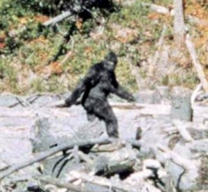 Pomoola or Injun Devil - Maine's Sasquatch.