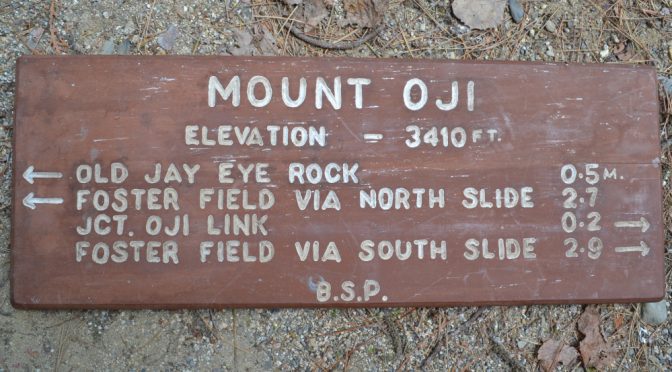This vintage sign from Mount OJI is one of 10 signs included in the inaugural Friends of Baxter State Park sign auction. Photo by Aaron Megquier