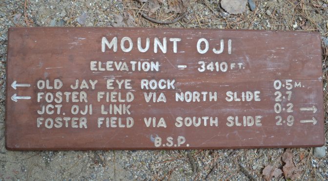 Retired Baxter State Park signs to be auctioned off