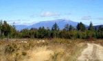Nice pic of Katahdin Mountain through a dry field in Maine.