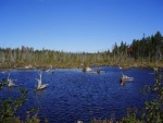 Photo of a distant Mt Katahdin across a beautiful Maine pond.